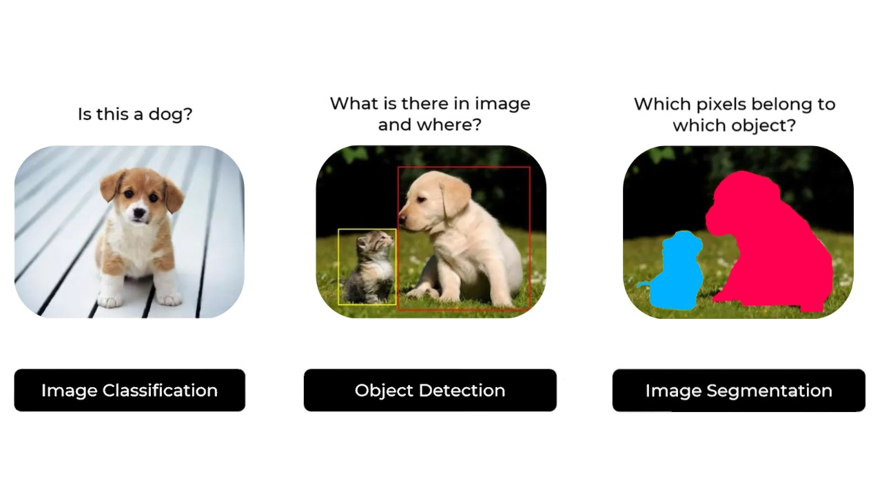 image describing the differences in classification, detection and segmentation